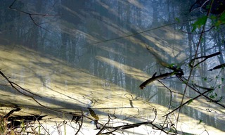<strong>forest pond</strong> &nbsp;&nbsp;&nbsp;92 x 55 cm&nbsp;&nbsp;&nbsp;foto print on alu dibond shiny laminated