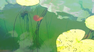 <strong>water lilies</strong> &nbsp;&nbsp;&nbsp;116 x 65 cm&nbsp;&nbsp;&nbsp;foto print on alu dibond shiny laminated